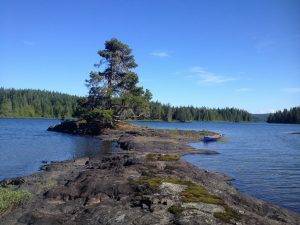 Sawyard Forest Canoe Route