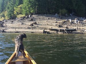 Fourth Lake - Nanaimo Lakes