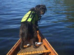Life Jacket
