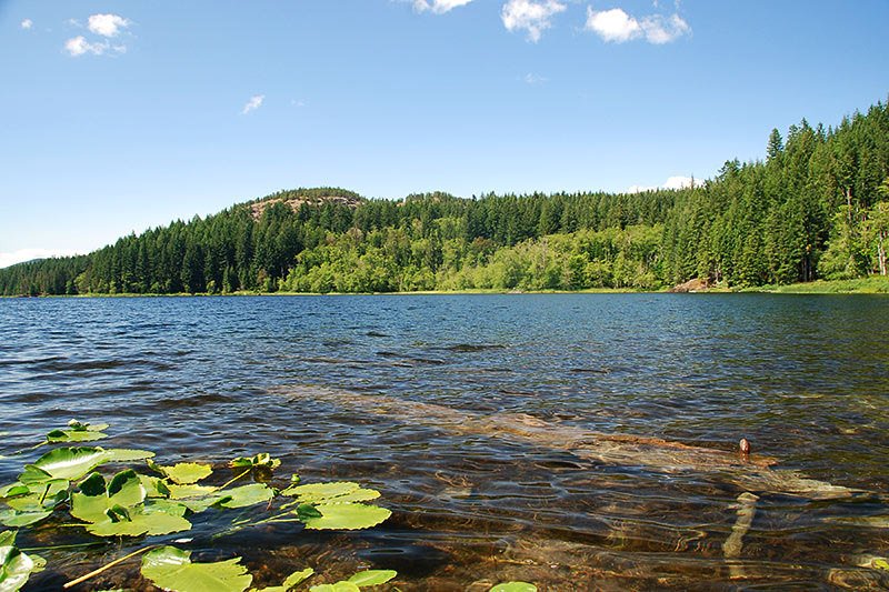 Main Lake Chain