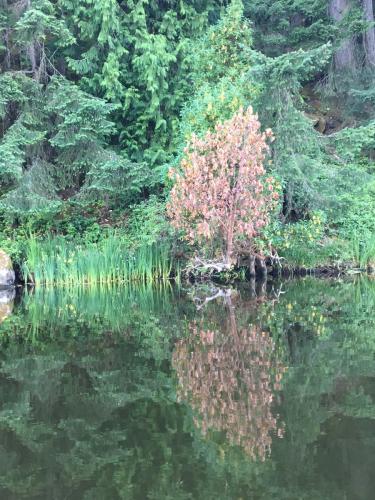 Quennell Lake