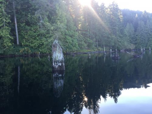 Westwood Lake
